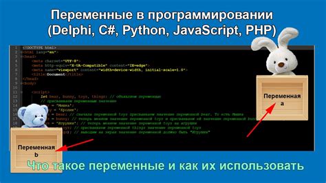 Переменная в программировании: основные понятия