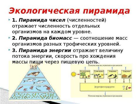 Перенос вещества в биологии