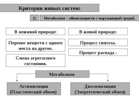 Перенос клопов с одного места на другое