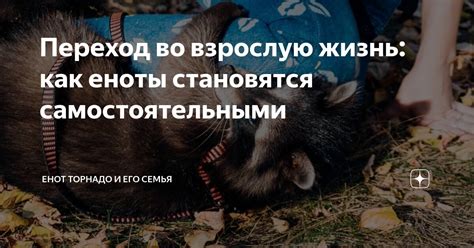 Переход во взрослую жизнь: вызовы и возможности