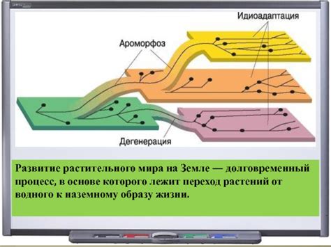 Переход от водного к наземному образу жизни