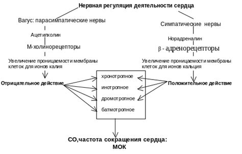 Перечень основных характеристик