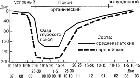 Период покоя