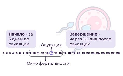 Период привычной фертильности