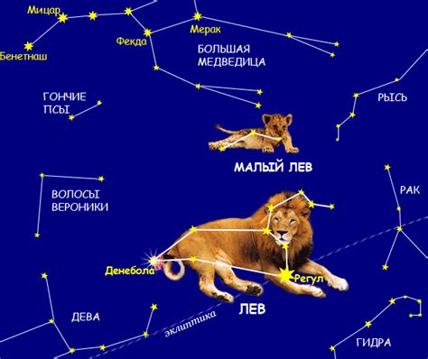 Период созвездия Льва: с каких чисел по какие числа?