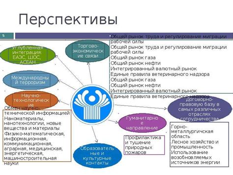 Перспективы дальнейшего развития и использования совпадения часов