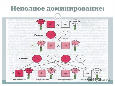 Перспективы исследований по неполному сцеплению генов