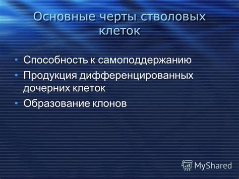 Перспективы применения не дифференцированных клеток в медицине