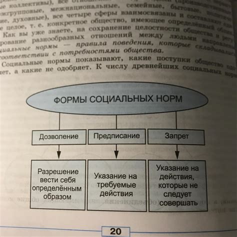 Перспективы применения предписывающих норм в различных сферах