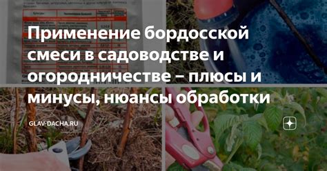 Перспективы применения 1% бордосской смеси в сельском хозяйстве