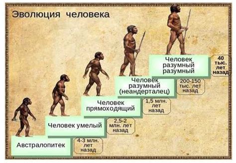 Перспективы прогрессивного развития Homo sapiens