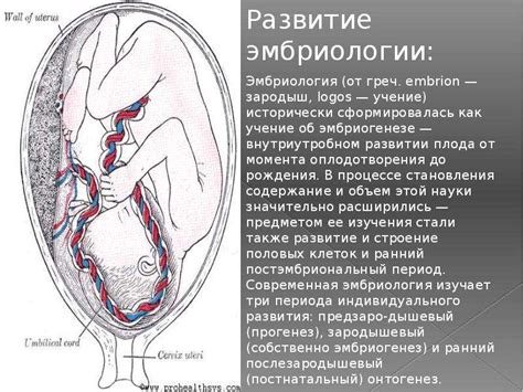 Перспективы развития гистологии и цитологии в гинекологии