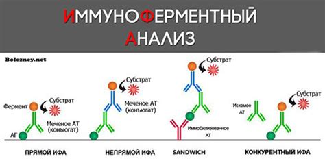 Перспективы развития иммуноферментного метода