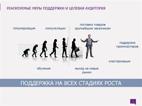 Перспективы развития интегративных центров