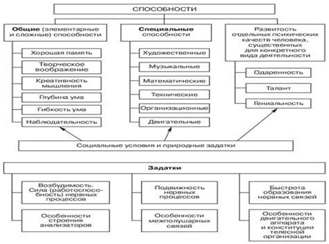 Перцептивные способности: важность и определение