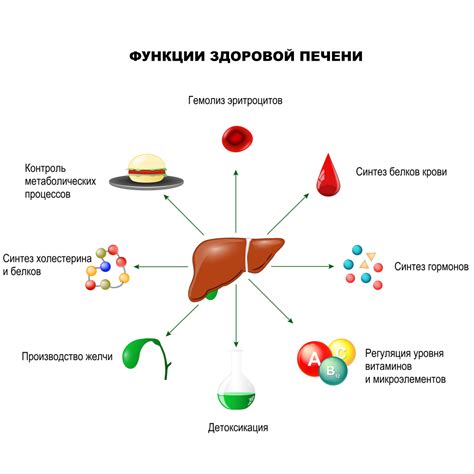 Печеночная недостаточность: причины и симптомы