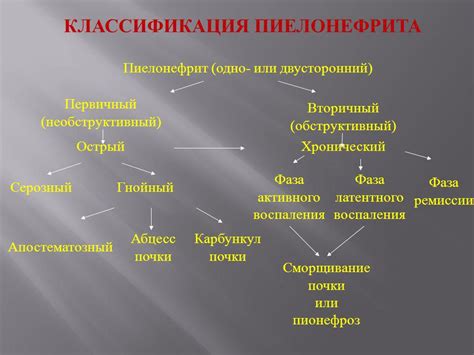 Пиелонефрит, связанный с рефлюксом: что это?