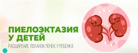 Пиелоэктазия левой почки у ребенка до года