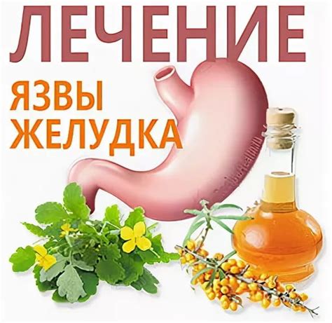 Питание для укрепления желудка