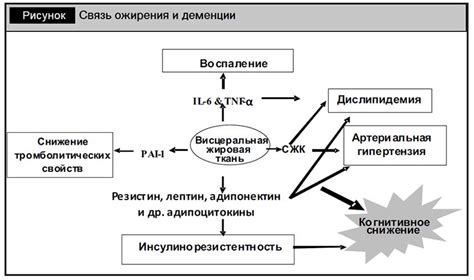 Питание и ФВД: взаимосвязь