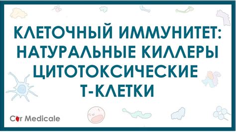 Питание и натуральные киллеры