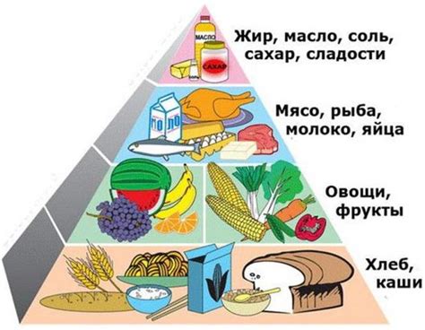 Питание и продукты: основные расходы в быту