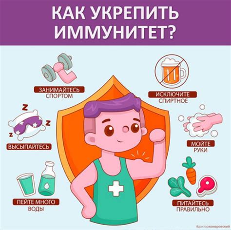 Питание и укрепление иммунитета кошки: