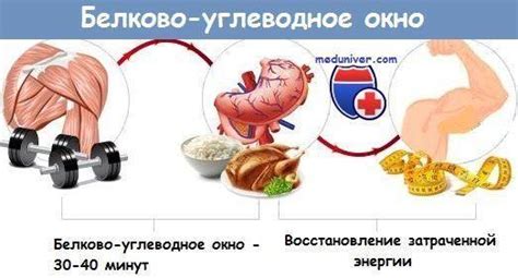 Питательная ценность продуктов и белково-углеводное окно