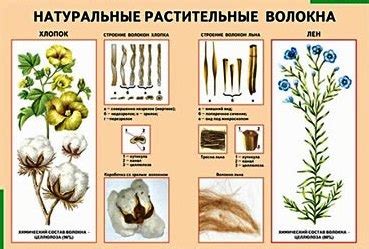 Питательные растительные волокна