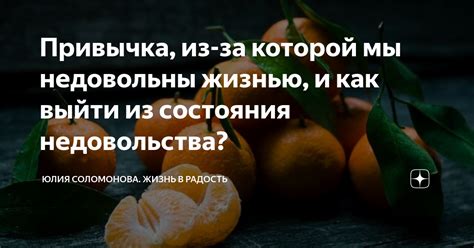 Питомец как символ недовольства в отношениях: важность разделяемых потребностей и взаимного удовлетворения