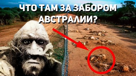 Платное обслуживание номеров: что это такое?