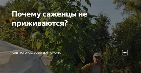 Плыть саженками: преимущества метода и особенности использования