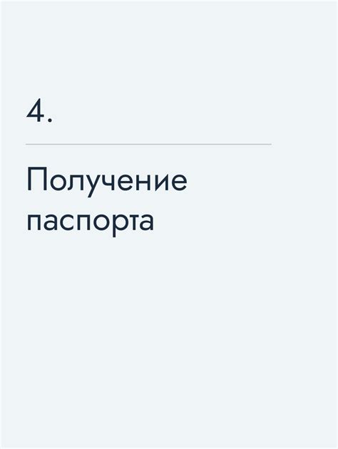 Плюсы и минусы "passport normal"