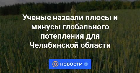 Плюсы и минусы использования глобального физического урона