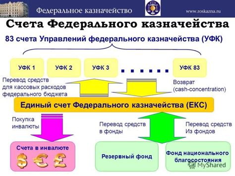 Плюсы и минусы казначейского обеспечения