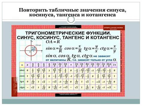 Пневматизация фациальных синусов и ее значение