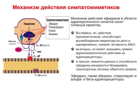 Побочные эффекты симпатомиметиков