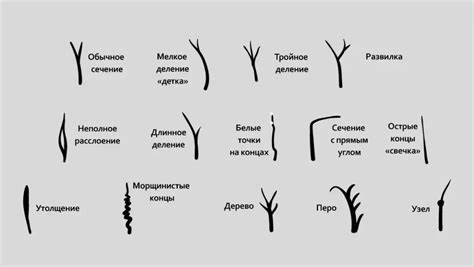 Повреждение структуры волос: