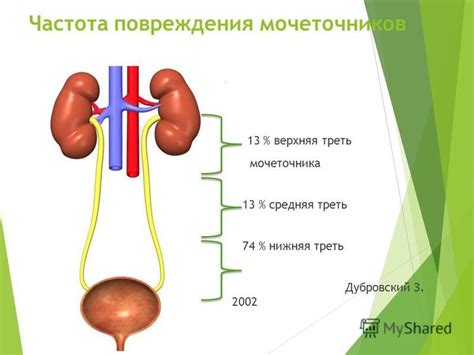 Повреждения мочевых путей