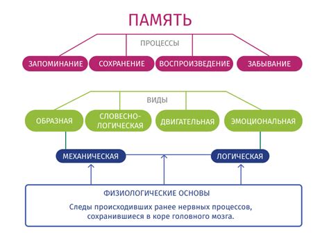 Повторение как способ запоминания