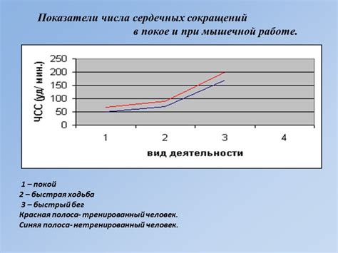 Повышается нагрузка на опорно-двигательную систему