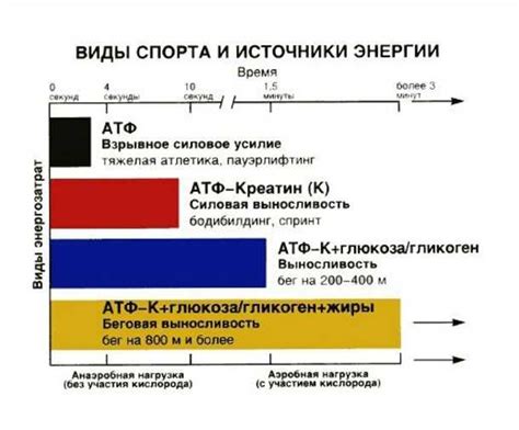 Повышает уровень энергии и концентрации