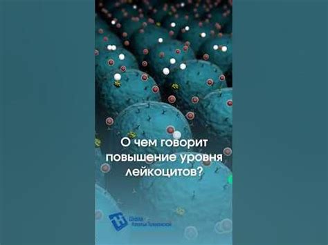 Повышение уровня лейкоцитов