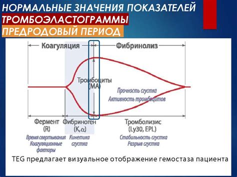 Повышенная тромбоэластограмма: симптомы