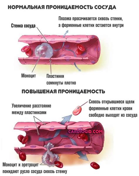 Повышенный тромбокрит у женщин в возрасте 40 лет: причины и последствия