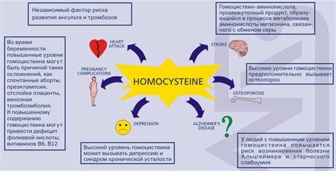 Повышенный уровень гомоцистеина: что это значит?