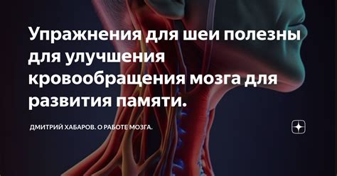 Поглаживание шеи для улучшения кровообращения