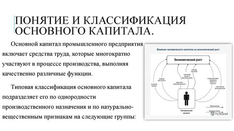 Податное население: определение и роль в экономике