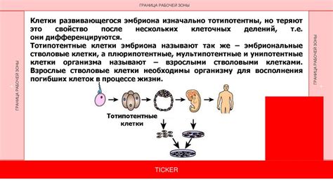 Подбитая мехом: этический аспект