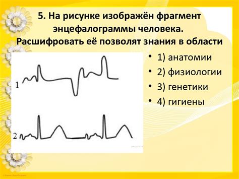 Подготовка к проведению энцефалограммы